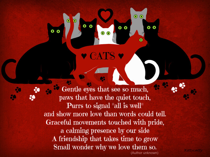 Cats with Poem