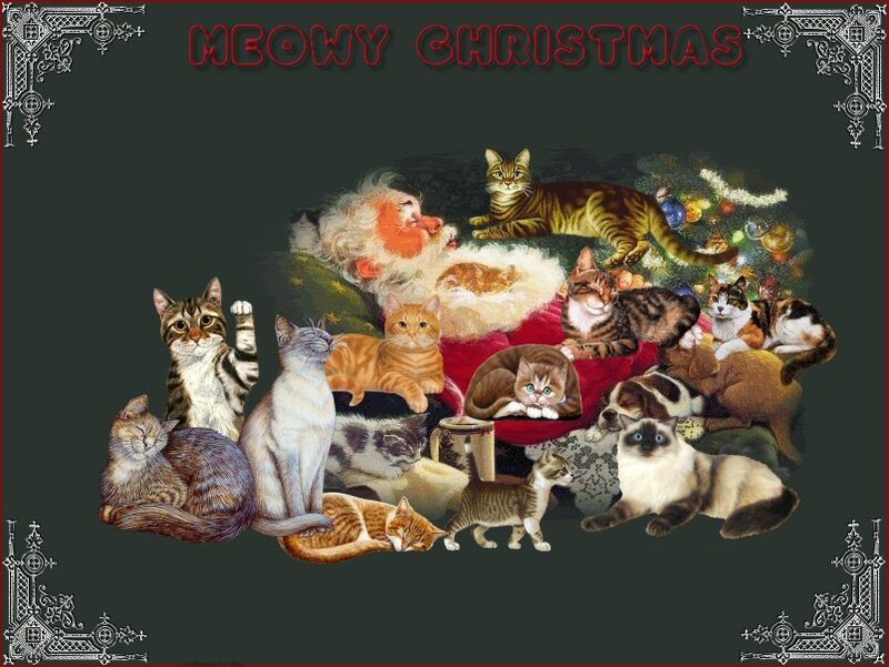 Cats with Santa Claus