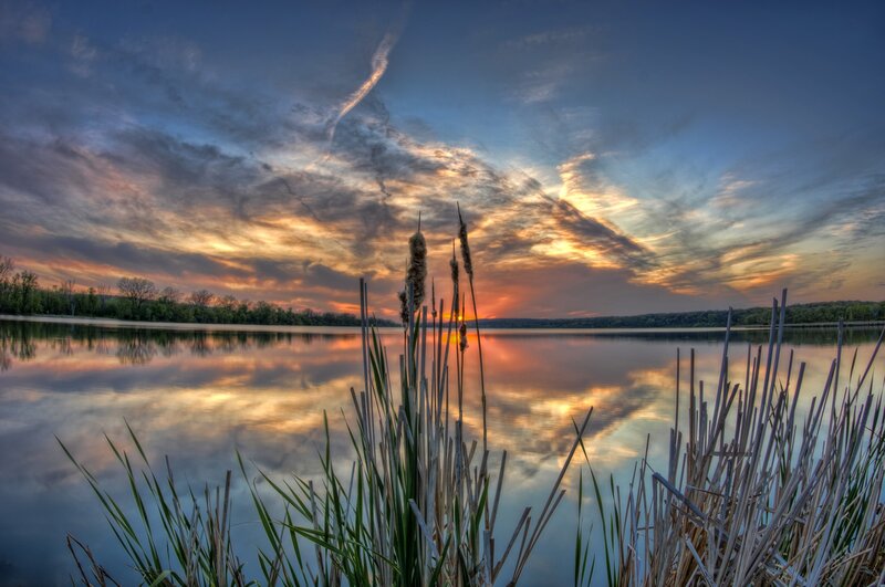 Cattails at Sunset — Blue, Serene