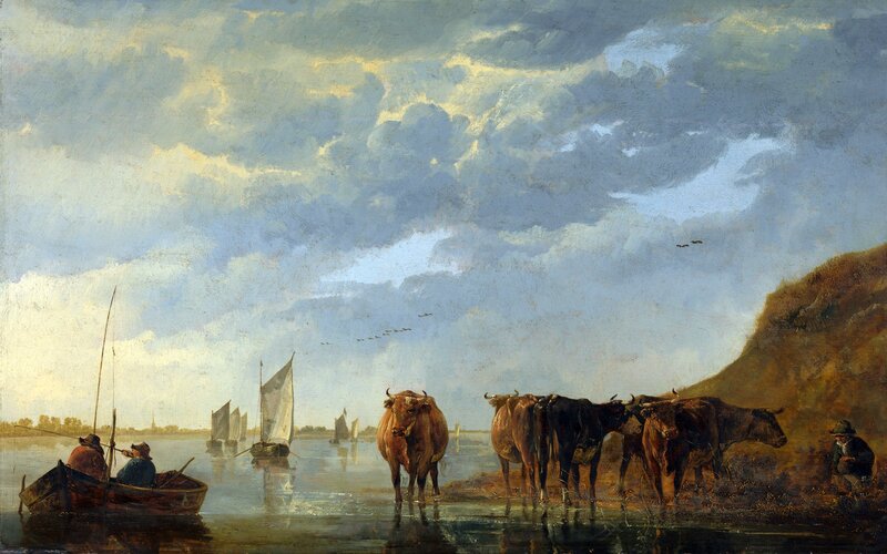Cattle being herded at river