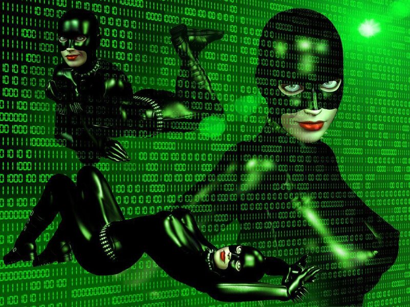 Catwoman in digital matrix