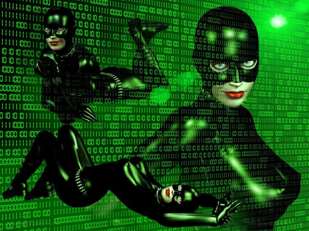 Catwoman in digital matrix