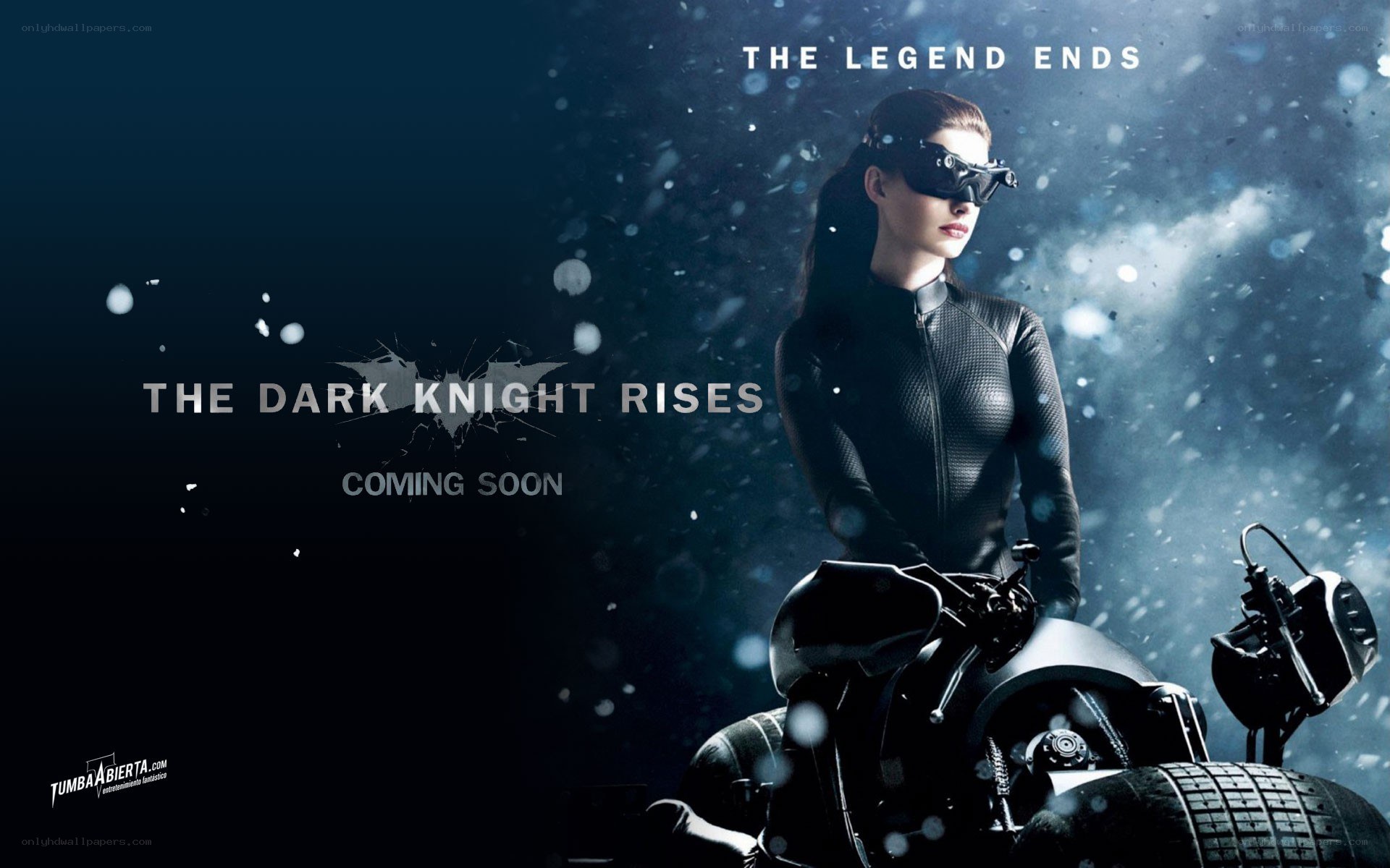 Catwoman on motorcycle poster