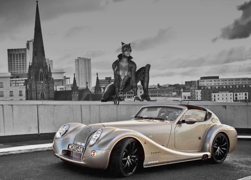 Catwoman on Rooftop — Silver