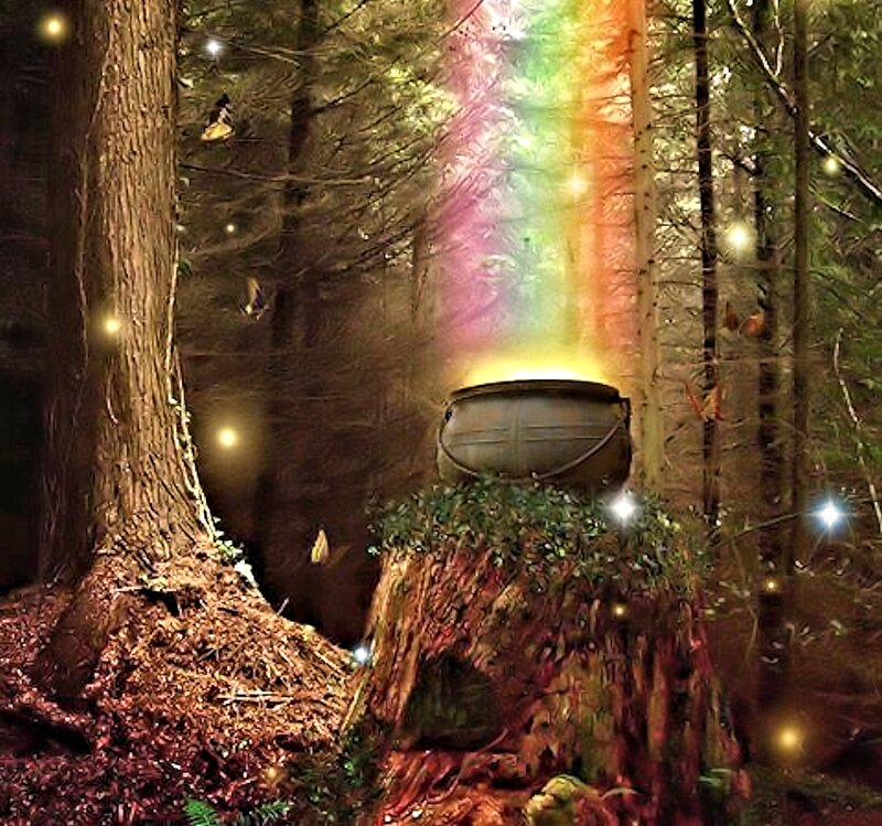 Cauldron in Forest