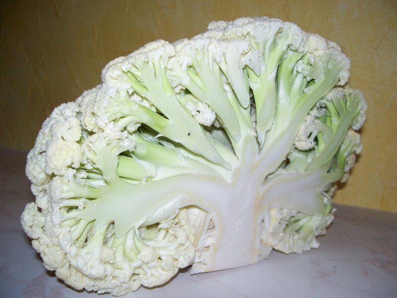 Cauliflower cut in half