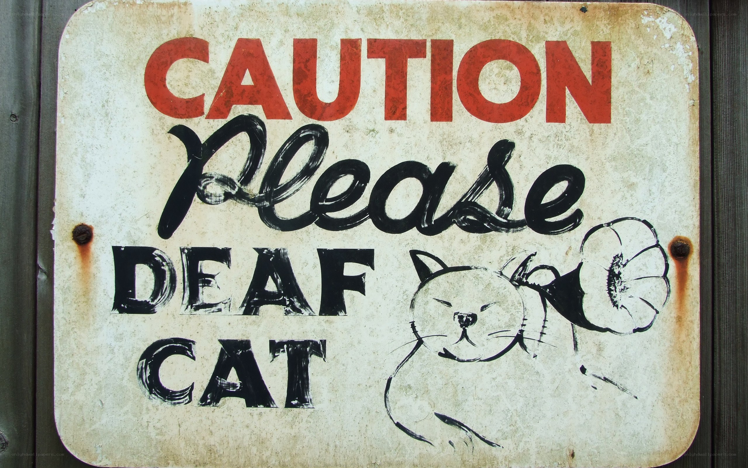 Caution: Deaf Cat Sign