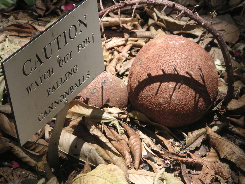 Caution sign near cannonballs