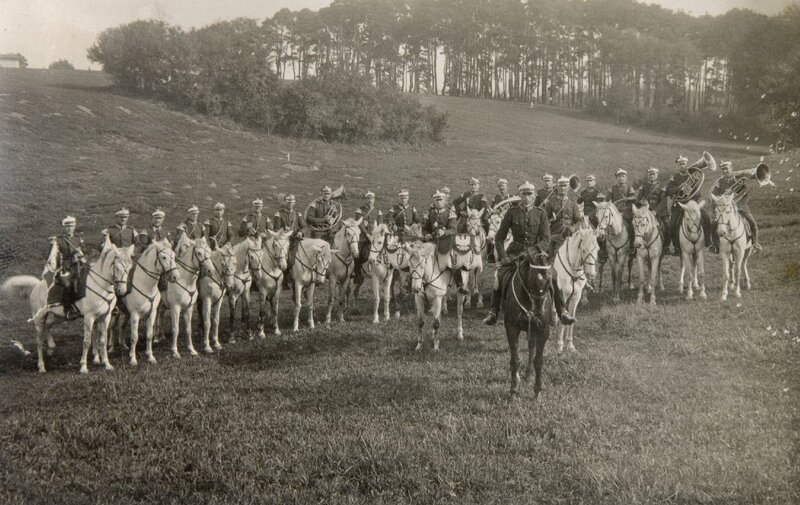 Cavalry unit in field