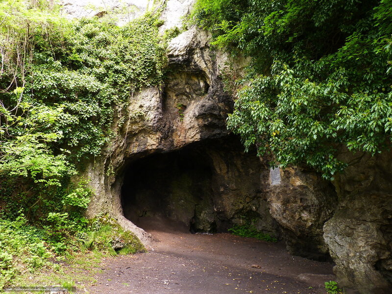 Cave Entrance in Forest — Green, Natural