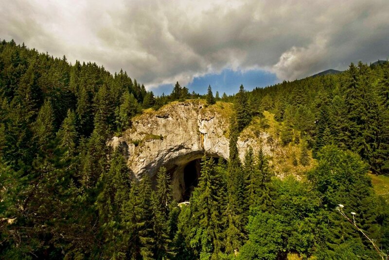Cave Entrance in Forest — Green