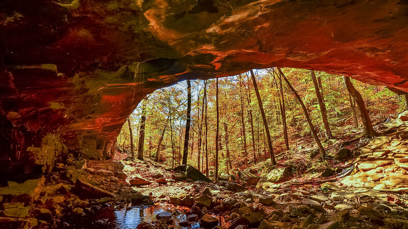 Cave Entrance in Forest — Red