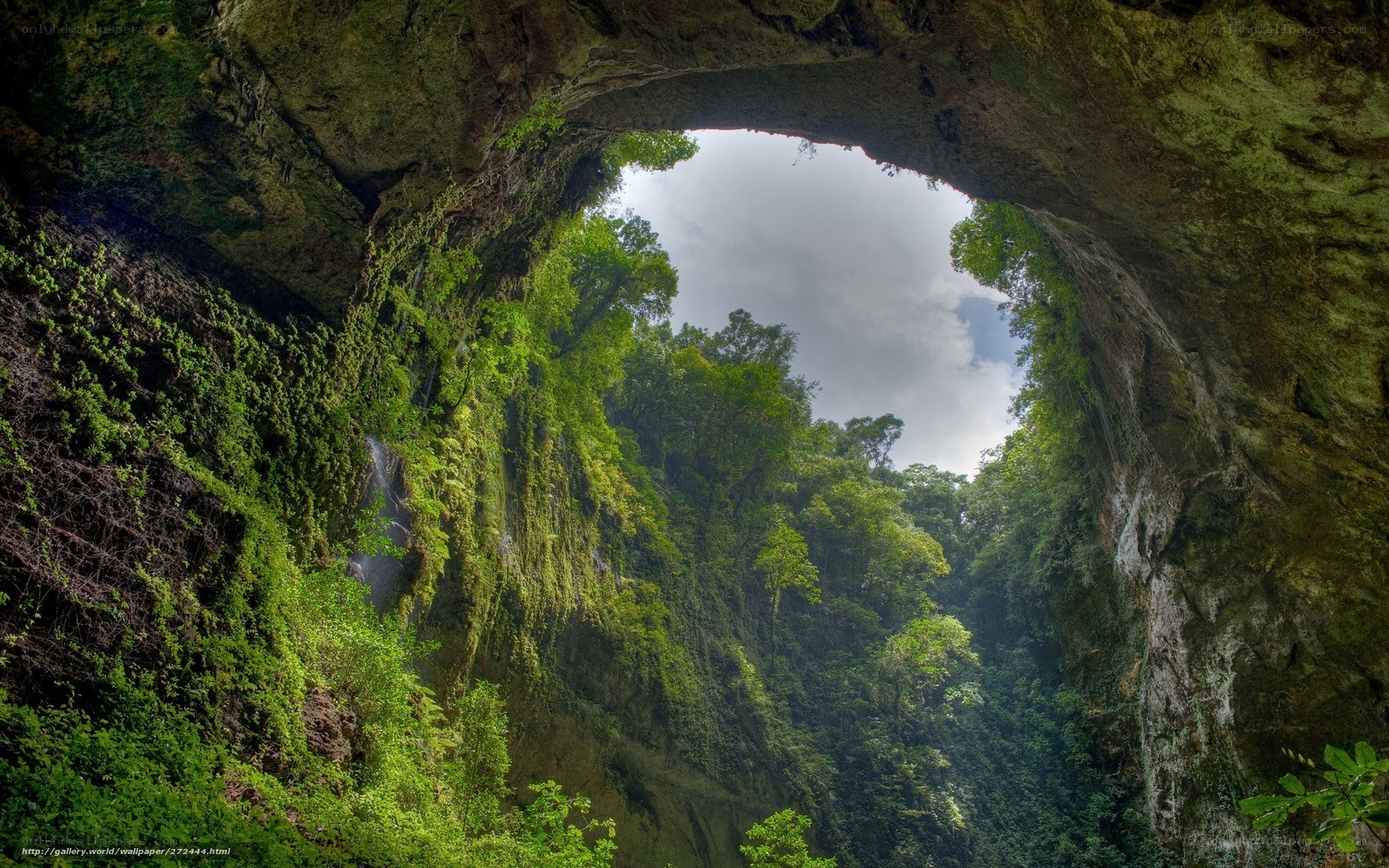 Cave entrance to forest