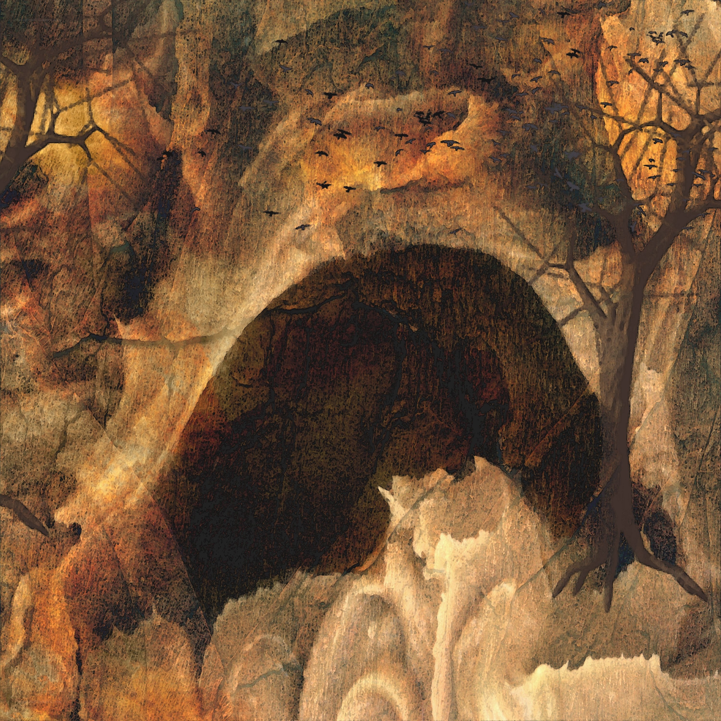 Cave entrance with birds