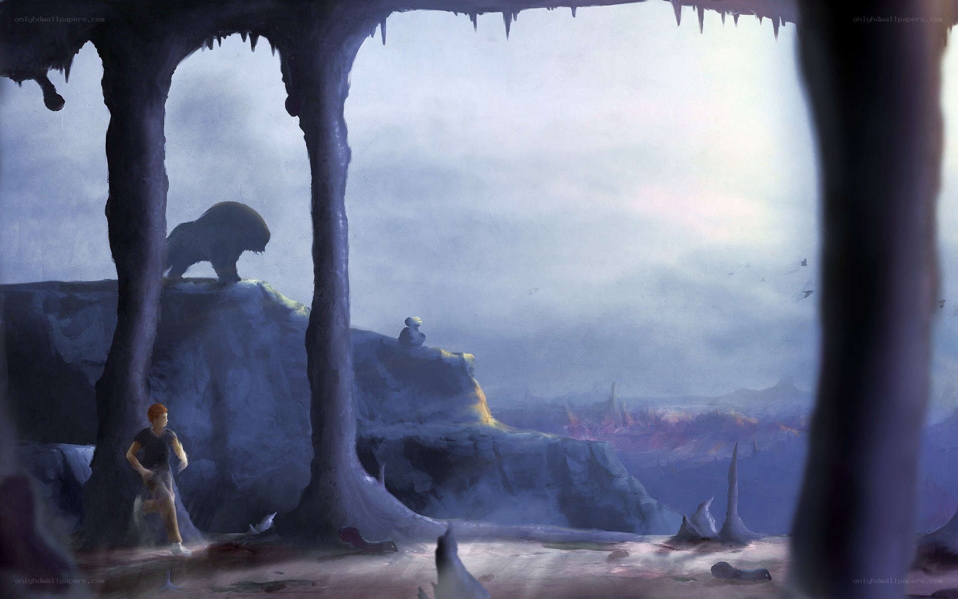Cave entrance with distant landscape