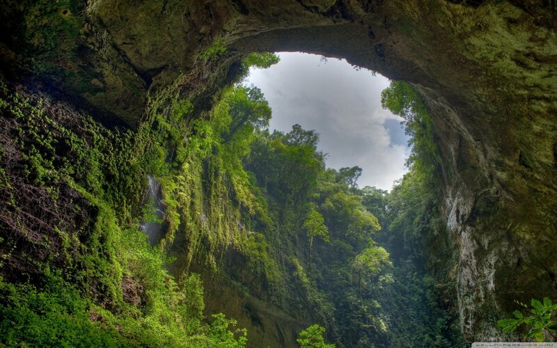Cave Entrance with Forest — Green, Serene