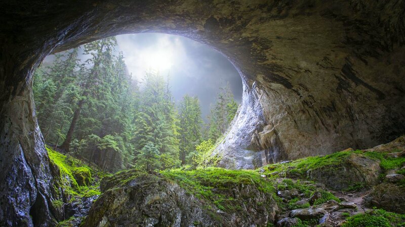 Cave Entrance with Forest — Green