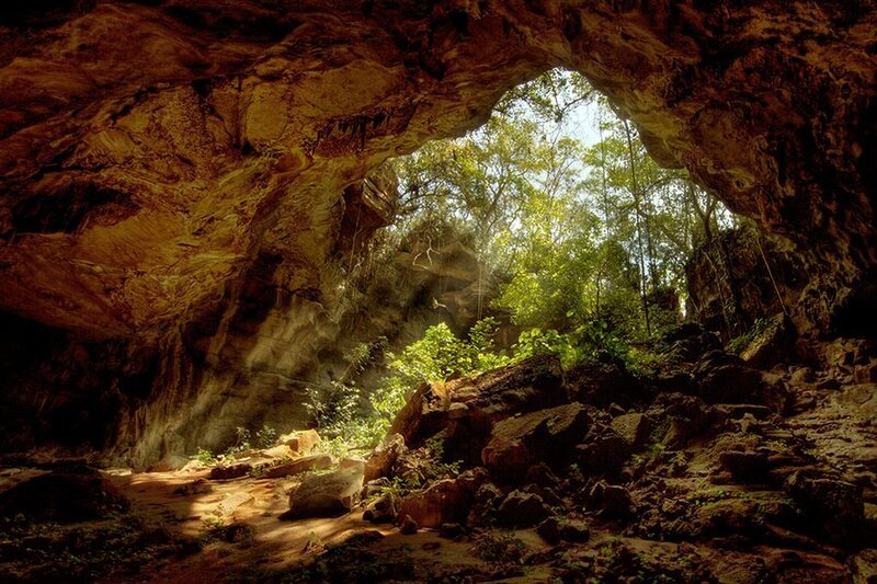Cave Entrance with Forest