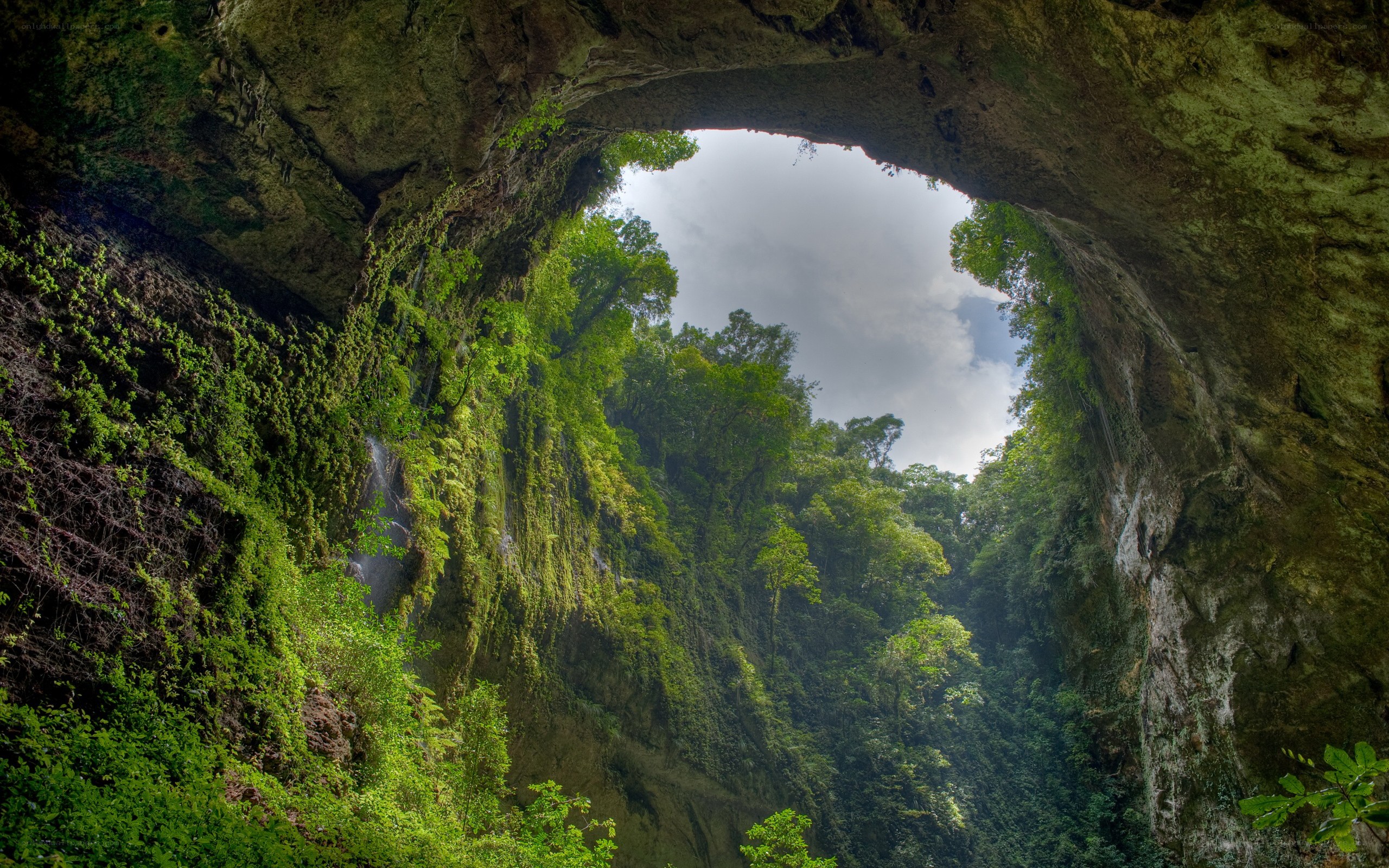 Cave entrance with forest view