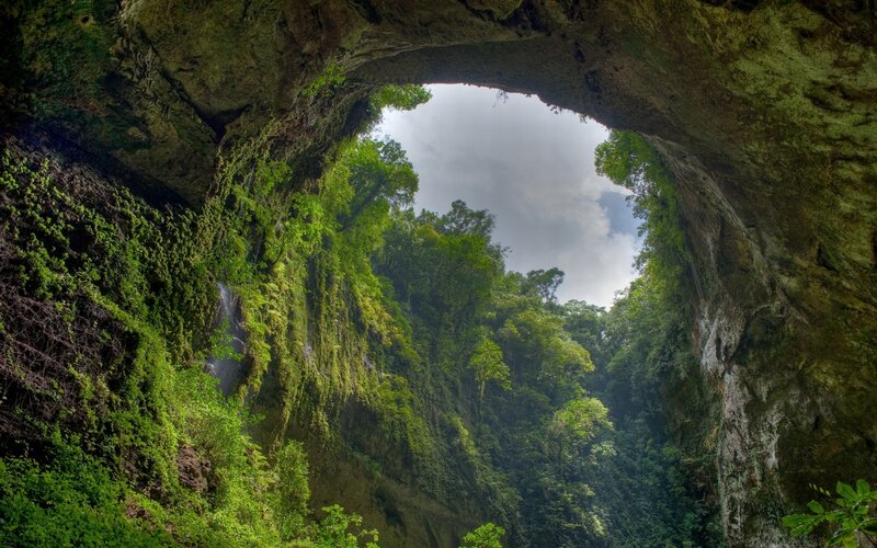 Cave entrance with forest view