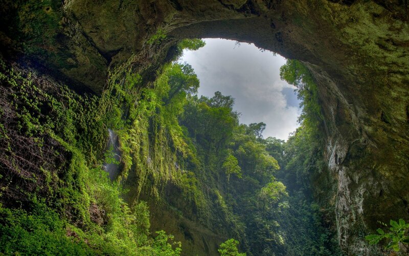 Cave entrance with forest view