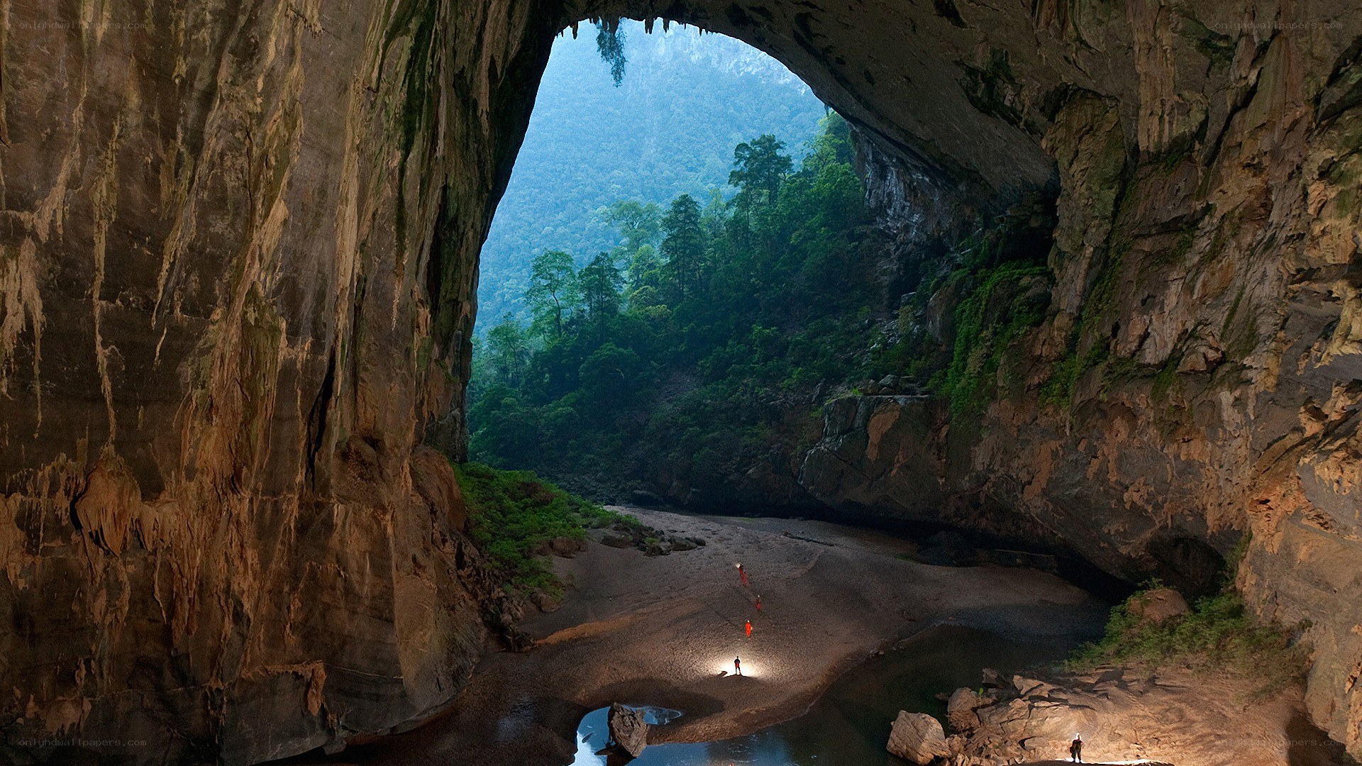 Cave entrance with forest view