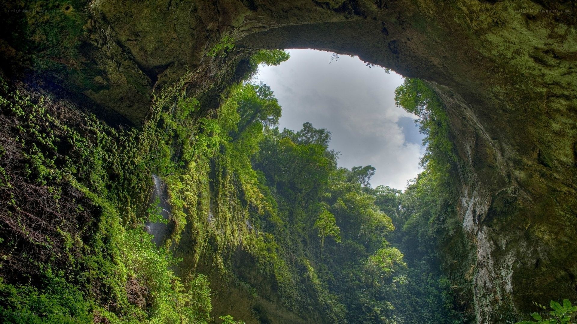 Cave entrance with forest view