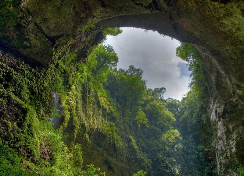 Cave entrance with forest view