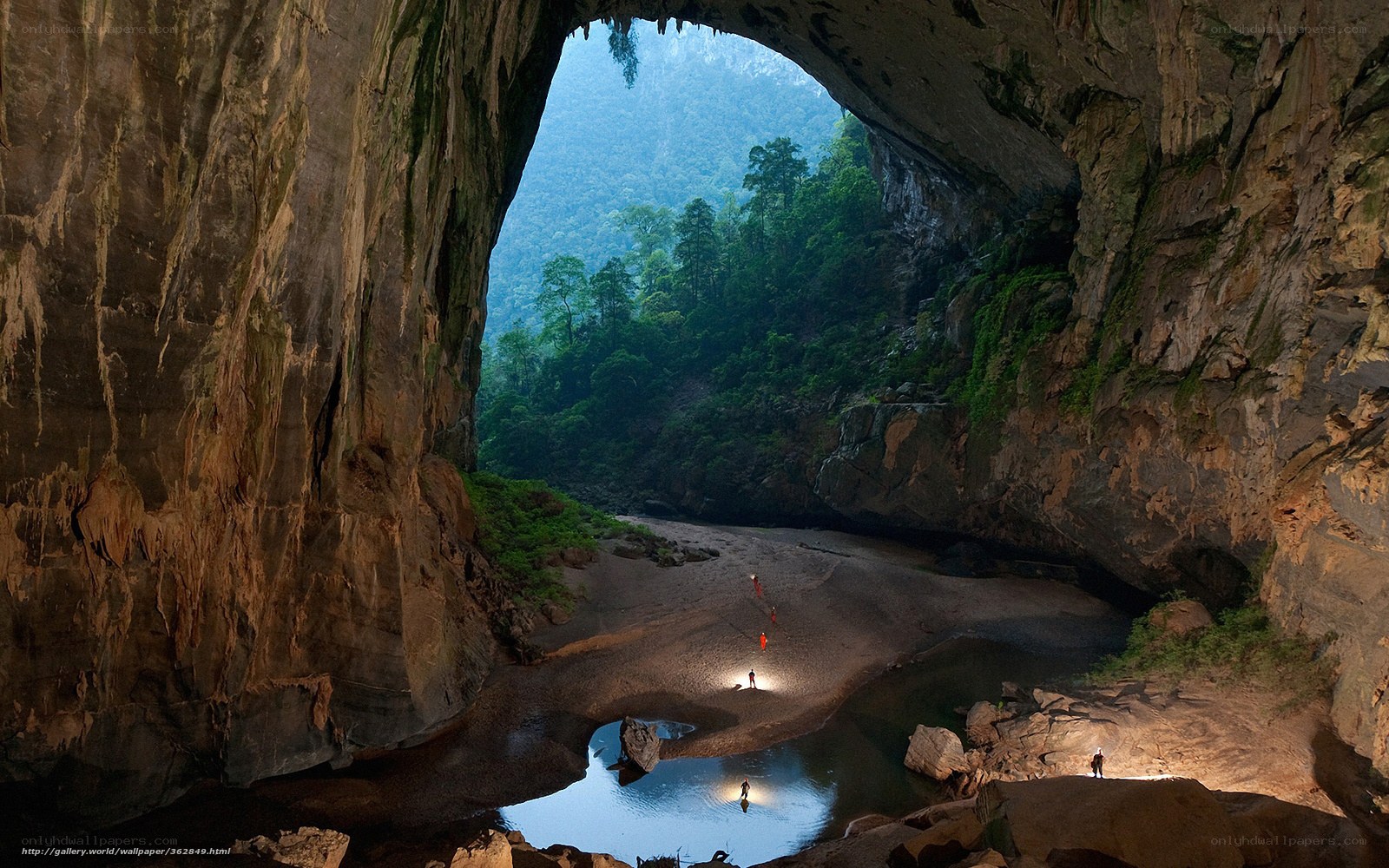 Cave entrance with forest view