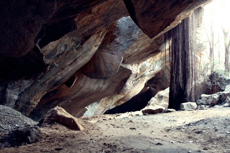 cave entrance with hanging roots