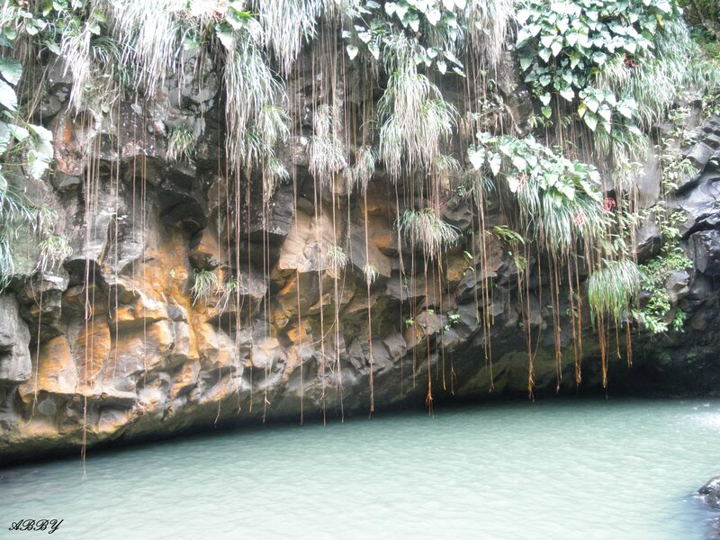 Cave Entrance with Hanging Vines