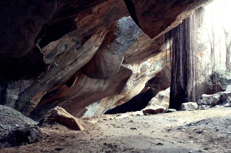 Cave Entrance with Roots