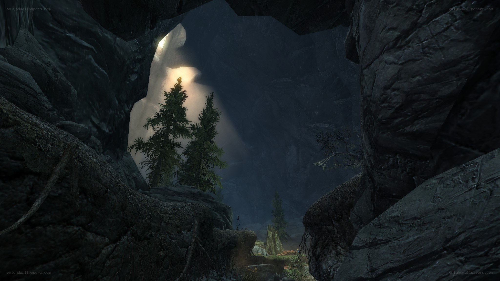 cave entrance with sunlight