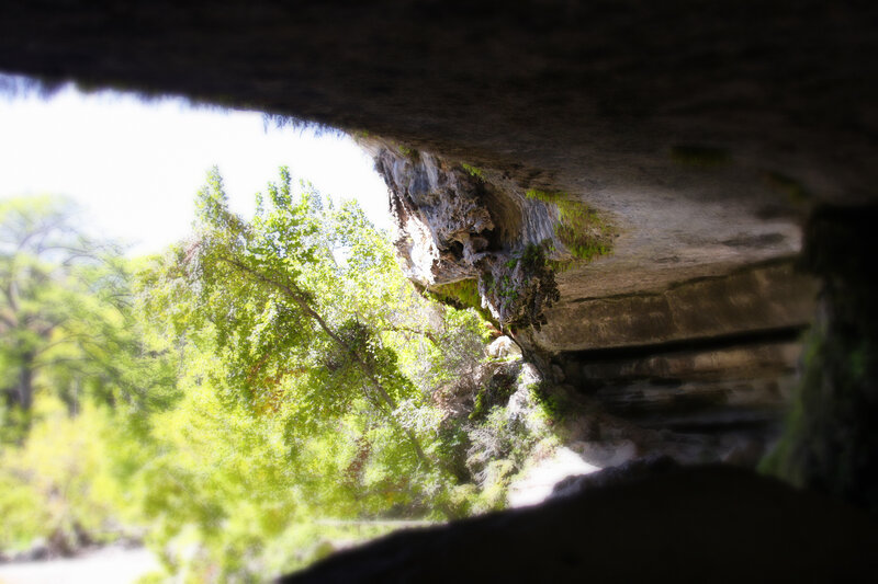 Cave Entrance with Trees