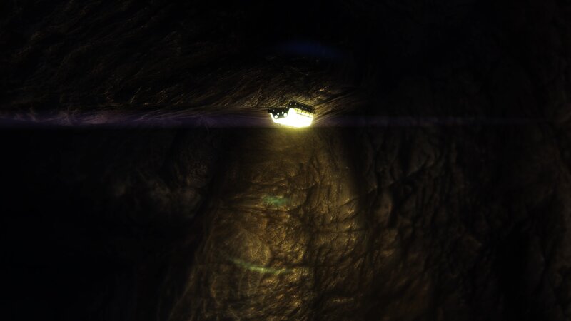 Cave Light Fixture