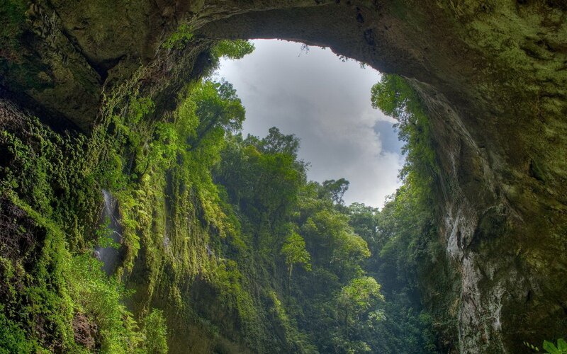 Cave opening to forest canopy