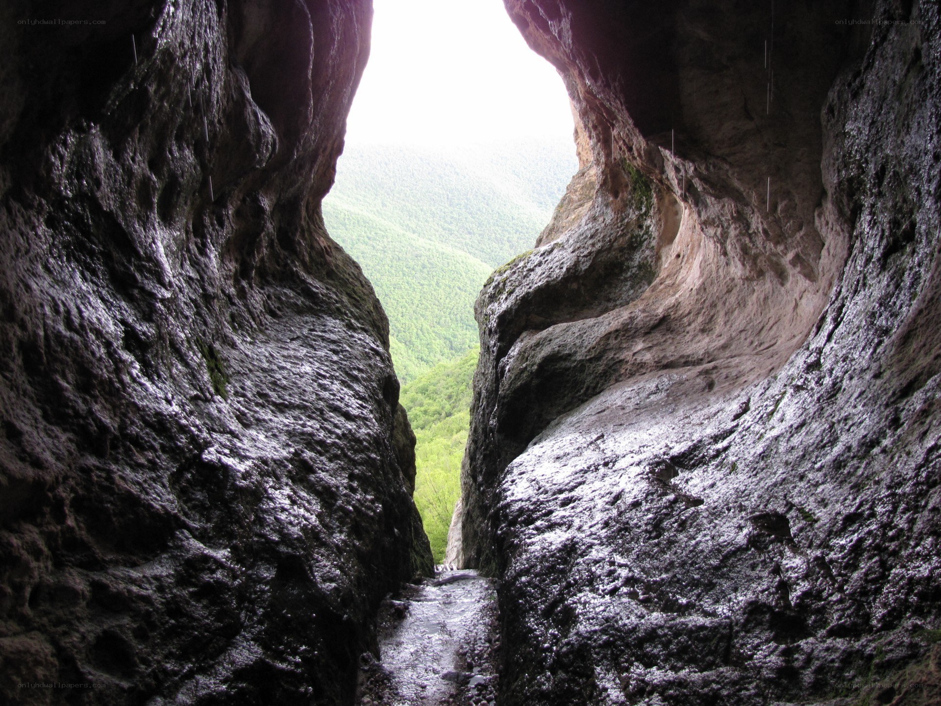 cave opening to green valley