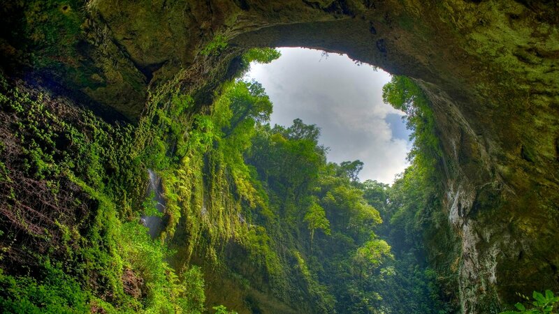 Cave Opening with Forest — Green