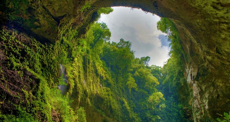 Cave Opening with Forest