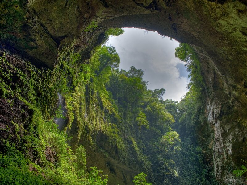 Cave opening with forest view