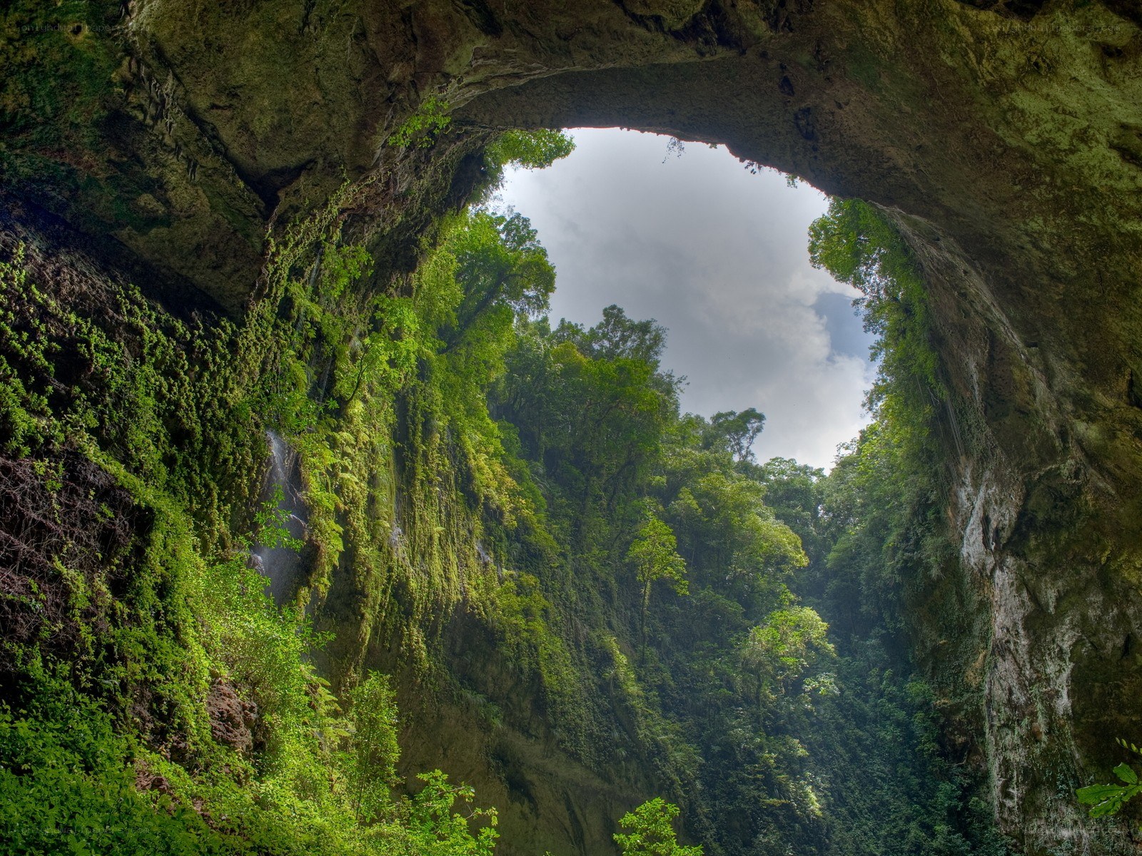 Cave opening with forest view