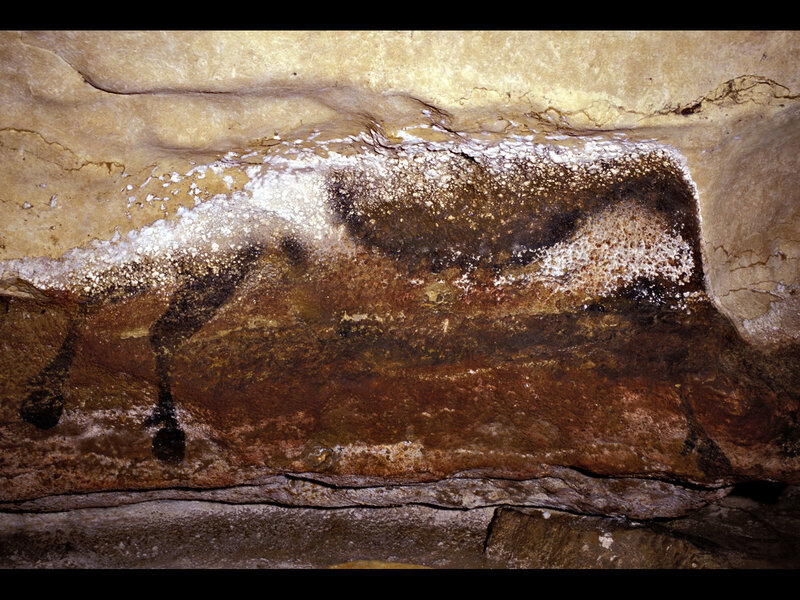 Cave painting of a bison