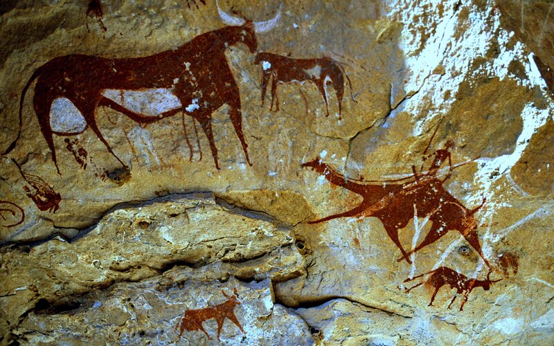 Cave Paintings of Animals