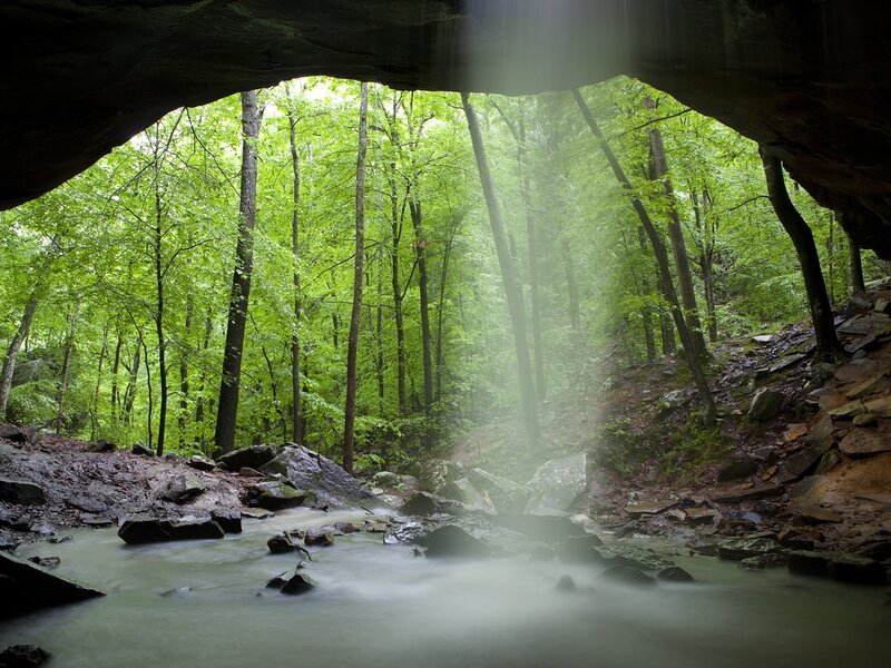 Cave view of forest stream