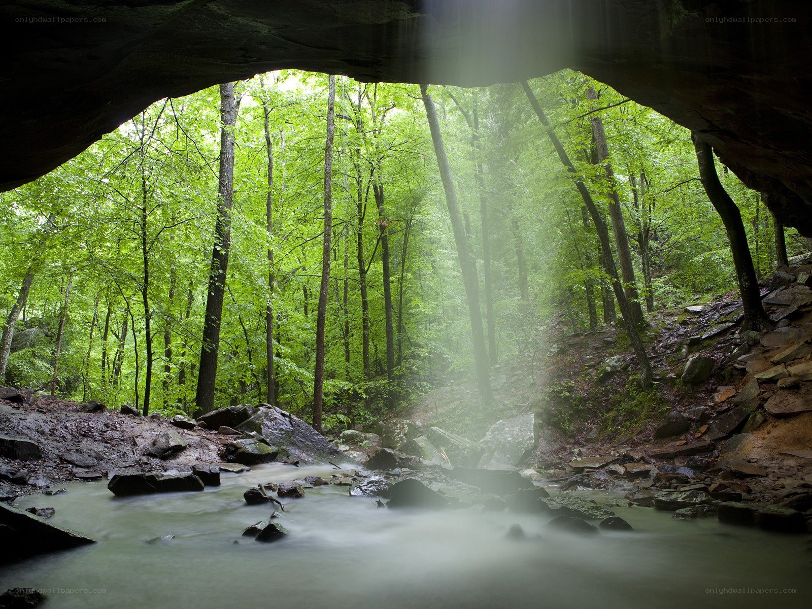 Cave view of forest stream