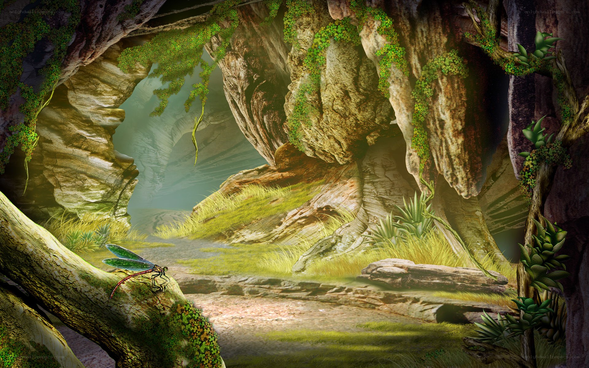 cave with dragonfly