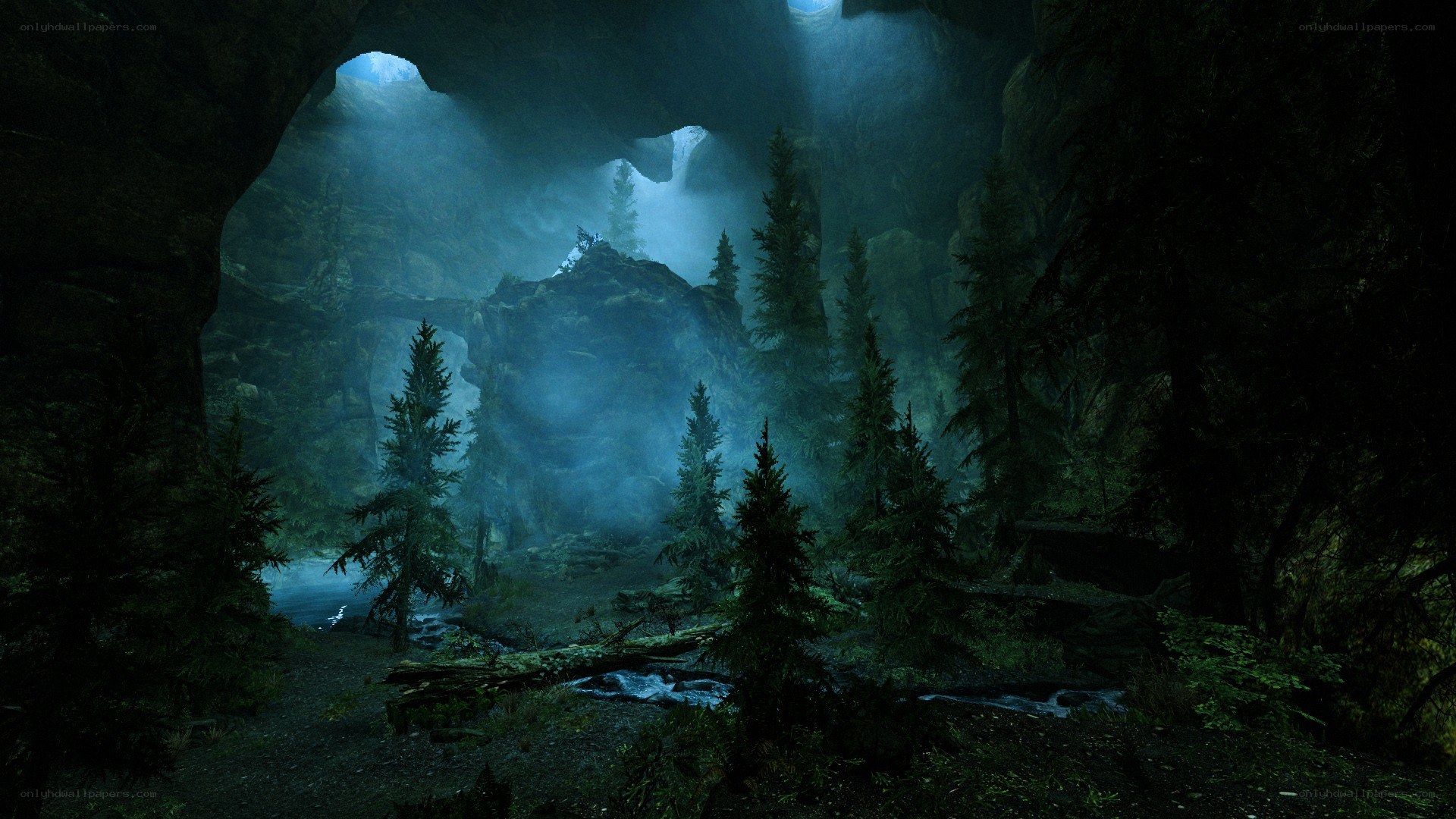 cave with forest and stream