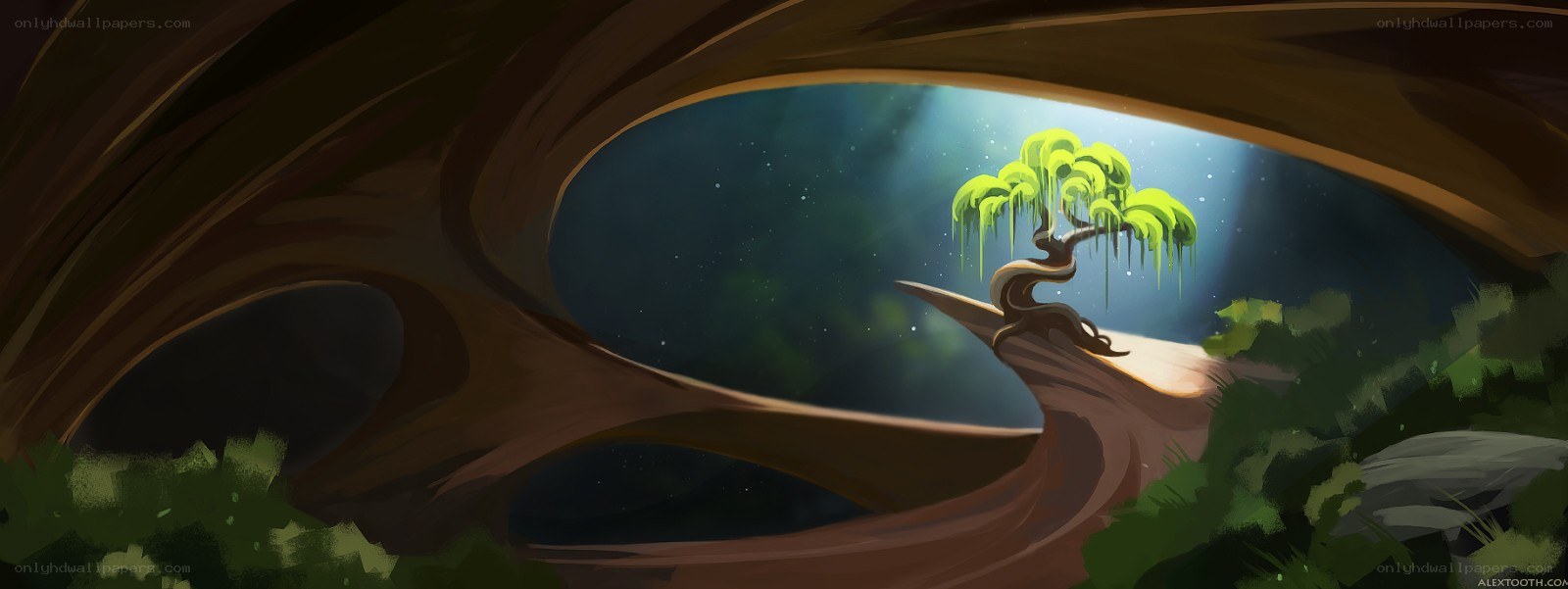 cave with glowing tree