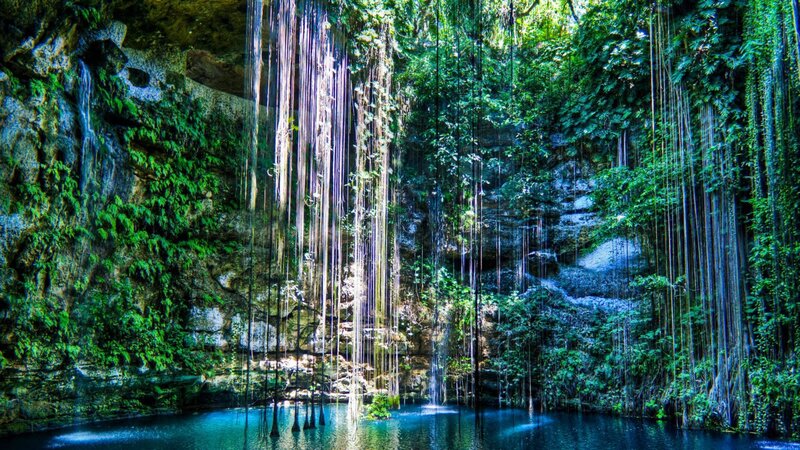 Cave with Hanging Vines — Green