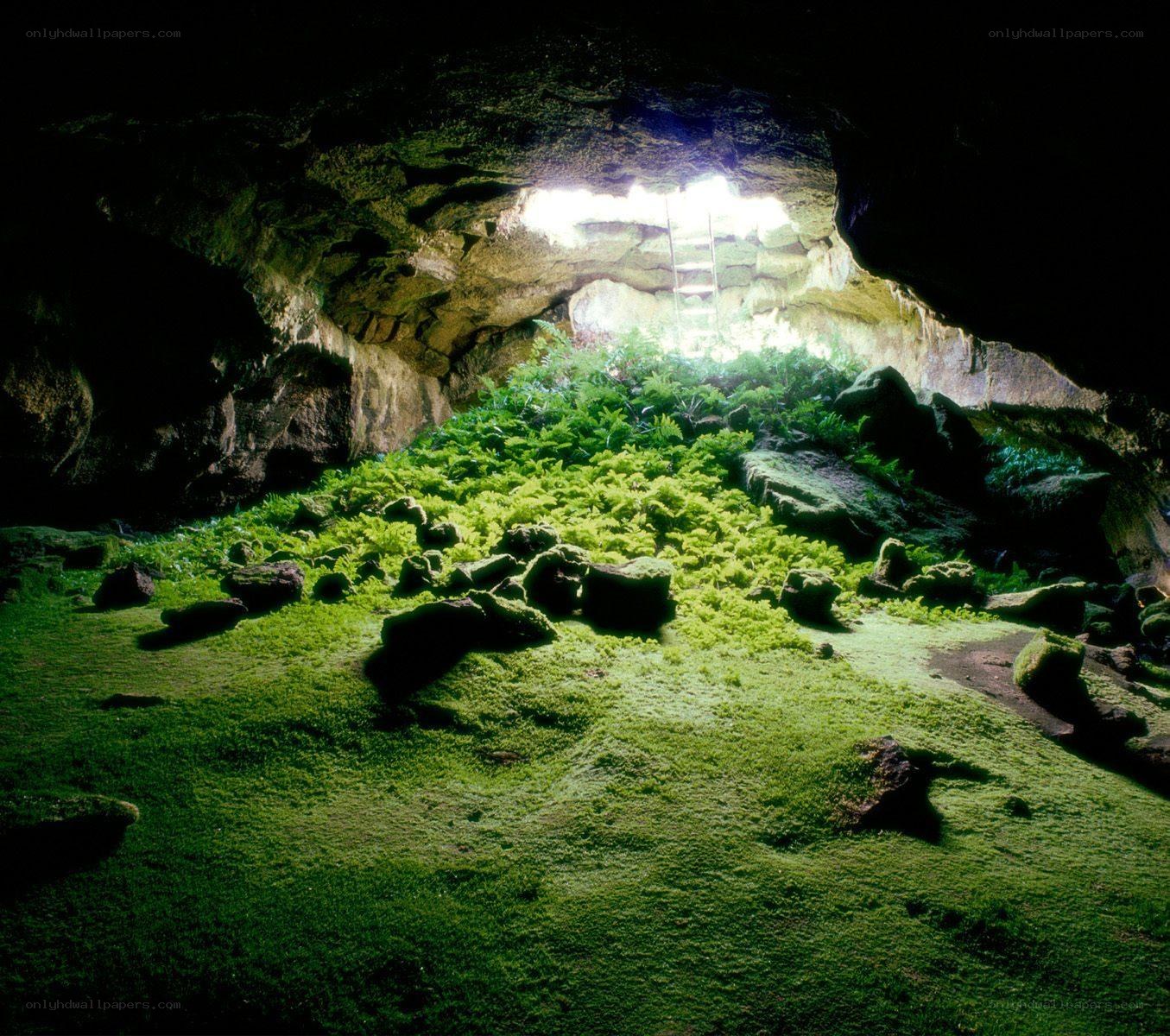 Cave with lush green moss